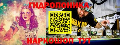 ПСИЛОЦИБИНОВЫЕ ГРИБЫ Камышлов