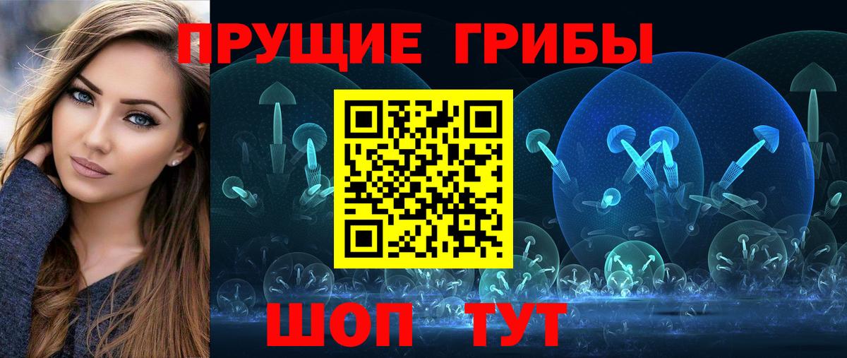 Черкесск  Псилоцибиновые грибы Psilocybine cubensis  Псилоцибиновые грибы Psilocybe  Вход с VPN 