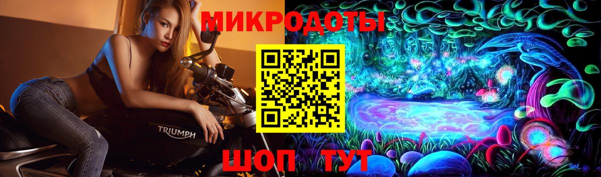 Галлюциногенные грибы Psilocybe Черкесск